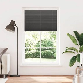 VidaXL Πλισέ περσίδα Μαύρο 120x200 cm Πλάτος υφάσματος 119,4 cm