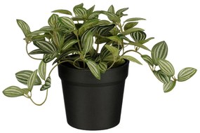 Τεχνητό Φυτό Σε Γλάστρα 16εκ. Edelman Tradescantia 1151032
