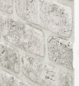 vidaXL Πάνελ τοίχου 10 pcs Ανοιχτό γκρι 100 x 50 cm Αφρός EPS