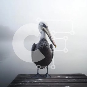 Intra Συλλεκτικό Ξύλινο Παζλ Plywood 4mm - Πελεκάνος σε μια ομιχλώδη αποβάθρα Σε Ξύλινο Κουτί - Διαστάσεις: 10x10 cm – 25 κομμάτια