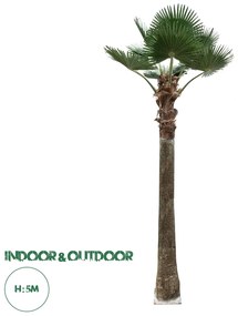 21056 GloboStar® Artificial Garden PLANT PALM TREE 21056 Διακοσμητικό Δέντρο Φοίνικα Φ240 x Υ500cm