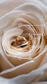 Intra Συλλεκτικό Ξύλινο Παζλ Plywood  4mm - Κομψές χρυσές βέρες σε λευκό τριαντάφυλλο Σε Ξύλινο Κουτί - Διαστάσεις Puzzle: 10x10 cm – 25 κομμάτια