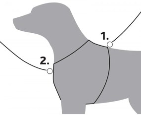 Λουρί Σκύλου Trixie Premium Γραφίτης XXS/XS