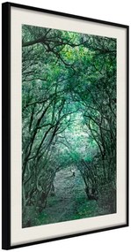 Αφίσα - Tree Tunnel - 20x30 - Μαύρο - Με πασπαρτού