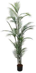 MAJESTY PALM ΤΕΧΝΗΤΟ ΦΥΤΟ ΣΕ ΓΛΑΣΤΡΑ ΠΡΑΣΙΝΟ ΜΑΥΡΟ H180cm - 030839