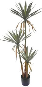 MarHome ΔΕΝΤΡΟ ΓΙΟΥΚΑ ΠΑΝΑΣΕ ΤΡΙΠΛΟ ΣΕ ΓΛΑΣΤΡΑ - Υ167cm 2/ΚΙΒ  04-18797
