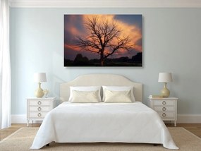 Εικόνα όμορφο δέντρο στο λιβάδι - 90x60