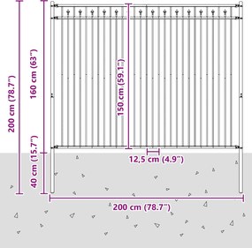 vidaXL Φράχτης με Άκρες Μαύρο 200 x 200 cm