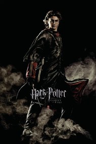 Εικονογράφηση Harry Potter and the Goblet of Fire - Harry