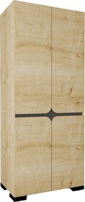 Ντουλάπα Sapphire Δρυς DREIN 90x52x210