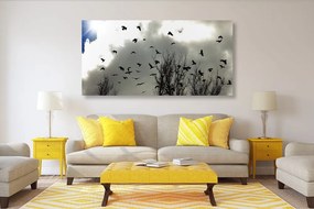 Εικόνα κοπάδι κοράκια - 100x50