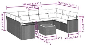 vidaXL Σετ Καναπέ Κήπου 10 τεμ. Μπεζ Συνθετικό Ρατάν με Μαξιλάρια