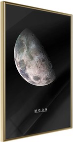 Αφίσα - The Solar System: Moon - 20x30 - Χρυσό - Χωρίς πασπαρτού