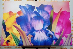 Εικόνα λουλουδάτη φαντασία - 60x40