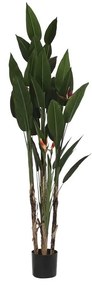 Διακοσμητικό Φυτό DKD Home Decor (90 x 90 x 200 cm)