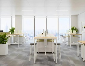 Γραφείο Studius-Leuko-Sonoma