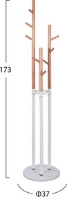 ΣΕΤ ΦΟΙΤΗΤΙΚΟ 6ΤΜΧ HM21190