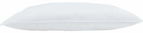 vidaXL Μαξιλάρι με μαξιλάρι Λευκό 40 x 80 cm Φτερό