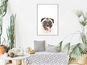 Αφίσα - Funny Pug - 30x45 - Χρυσό - Με πασπαρτού