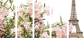 Εικόνα 5 τμημάτων Πύργος του Άιφελ και ροζ λουλούδια - 100x50