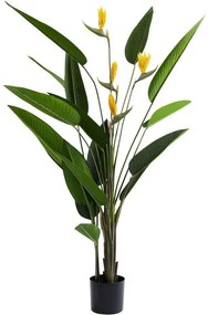 Διακοσμητικό Φυτό Λουλούδι Paradise Πράσινο-Κίτρινο 190 εκ.  - Πράσινο