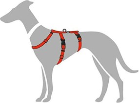 Λουρί Σκύλου Hunter 48-70 cm Κόκκινο S/M 36-51 cm