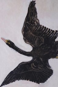 Αναπαραγωγή The Black Swan (2 of 2), Hilma af Klint