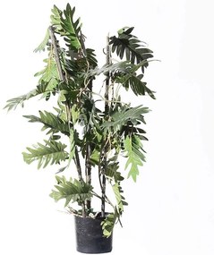 Τεχνητό Φυτό Φιλόδεντρο Xanadu 5161-7 30x75cm Green Supergreens Πολυαιθυλένιο
