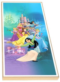 Παιδικό Κάδρο Disney Princesses KDP82 30x60cm