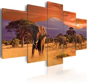 Πίνακας - Africa: Elephants 200x100