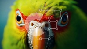 Σετ των 2 Intra Συλλεκτικό Ξύλινο Παζλ Plywood 4mm - Πολύχρωμο πουλί κινηματογράφηση σε πρώτο πλάνο Σε Ξύλινο Κουτί - Διαστάσεις: 10x10 cm – 25 κομμάτια