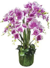 MarHome ΦΥΤΟ ΟΡΧΙΔΕΑ ΔΙΧΡΩΜΗ ΜΩΒ/ΛΕΥΚΑ ΑΝΘΗ REAL TOUCH - Y80cm 1/ΚΙΒ  04-94377-3