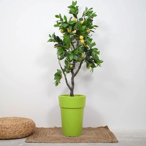 Γλάστρα 18Lt (Φ30x41) Viomes Linea 882 Λαχανί