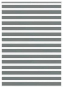 vidaXL Ζέβρα τυφλή Σκούρο Γκρι Πλάτος υφάσματος 155,9 εκ. Πολυεστέρας