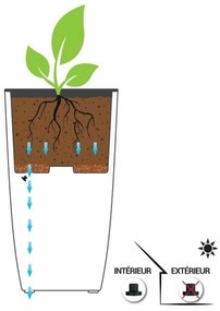 Βάζο Λουλουδιών EDA