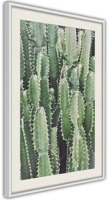 Αφίσα - Cactus Plantation - 30x45 - Χρυσό - Χωρίς πασπαρτού