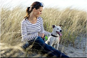 Λουρί Σκύλου Flexi New Μπλε S (5 m)