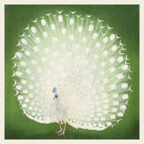 Αναπαραγωγή The White Peacock, Ohara Koson