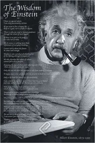 Αφίσα Wisdom of Einstein