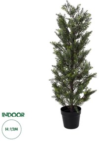 20151 GloboStar® Artificial Garden LEMON CYPRESS 20151 Τεχνητό Διακοσμητικό Φυτό Λεμονόκυπάρισσο Υ120cm