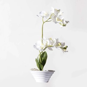 Τεχνητό Φυτό Ορχιδέα Με Κασπώ 5070-6 21x21x35cm White Supergreens Polyethylene