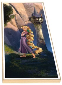 Παιδικό Κάδρο Ραπουνζέλ KDP52 30x60cm