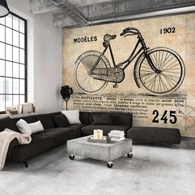 Φωτοταπετσαρία - Old School Bicycle 350x245