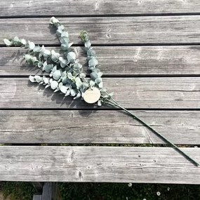 Beauty Home ΜΠΟΥΚΕΤΟ ΕΥΚΑΛΥΠΤΟΣ 83 CM
