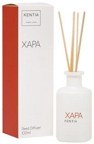 Αρωματικό Χώρου Με Sticks Mood 25 Χαρά 100ml Neon Block Kentia Γυαλί