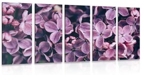 5 μερών εικόνα λουλούδια λιλά - 100x50