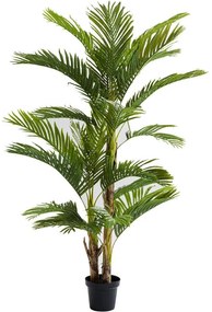 Φυτό Palm Tree Πράσινο 190 εκ. - Πράσινο