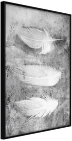 Αφίσα - Delicate Feathers - 40x60 - Μαύρο - Χωρίς πασπαρτού