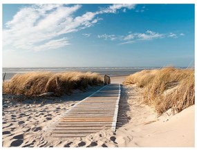 Φωτοταπετσαρία - North Sea beach, Langeoog 400x309