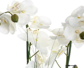 Τεχνητό Λουλούδι Σε Γλάστρα (Φ47x56) A-S White Orchid 136510B